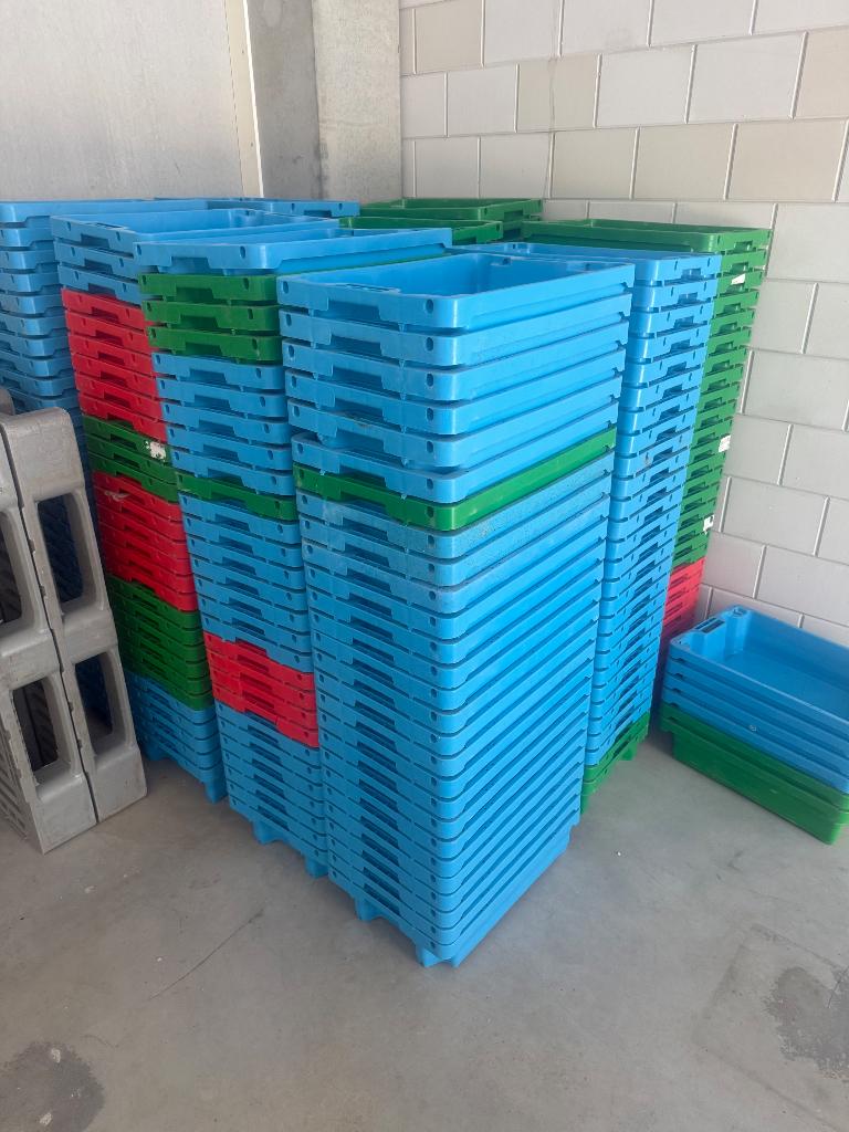 240 Kratten kunstof 40x60 gebruikt €1000, Doe-het-zelf en Verbouw, Kratten en Dozen, Ophalen, Gebruikt, 40 tot 60 cm, 50 tot 75 cm