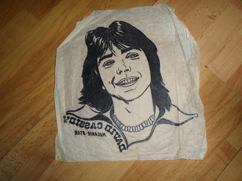 opstrijkplaat David Cassidy jaren 70 Melanie star, Verzamelen, Ophalen of Verzenden, Gebruikt, Boek, Tijdschrift of Artikel