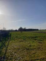 Weiland te huur 3300 m2