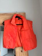 Cropped bodywarmer oranje, Kleding | Dames, Bodywarmers, Ophalen of Verzenden, Zo goed als nieuw, Maat 38/40 (M), Oranje