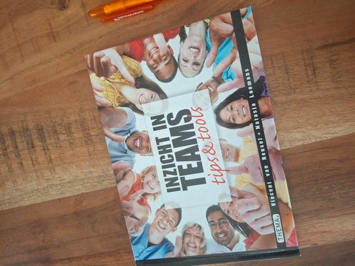 Natasja Loomans - Inzicht in teams, Boeken, Advies, Hulp en Training, Zo goed als nieuw, Ophalen of Verzenden