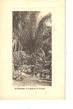 NEDERL INDIE - Buitenzorg plantentuin, Verzamelen, Verzenden