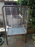 Papegaaienkooi, Dieren en Toebehoren, Ophalen, Zo goed als nieuw, Metaal, Vogelkooi
