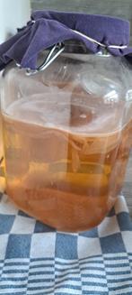 Kombucha scoby, Ophalen of Verzenden