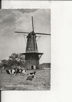 Bergambacht Molen den Arend met koeien FOKA 1955, Verzenden, 1940 tot 1960, Gelopen, Zuid-Holland