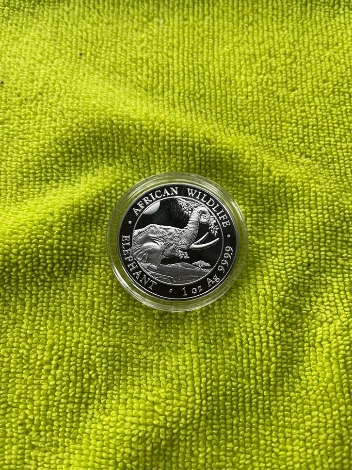 African Wildlife Elephant 100 Shillings 1 Oz. 2023, Postzegels en Munten, Edelmetalen en Baren, Zilver, Ophalen of Verzenden