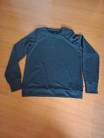 WE truitje maat 170, Meisje, Trui of Vest, Ophalen of Verzenden, Zo goed als nieuw