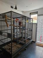 Papegaaien kooi amalia strong, Ophalen, Zo goed als nieuw, Aluminium, Vogelkooi
