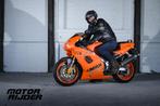 Laverda 750 Sport 1999, Motoren, 750 cc, 2 cilinders, Sportuitlaat, Motorrijbewijs A