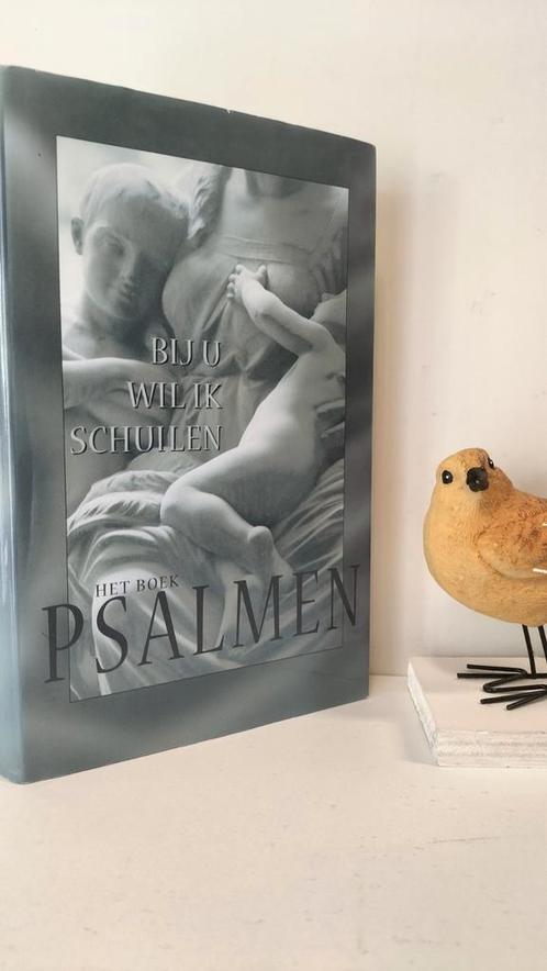 Brinkman, Dr. J.M.; Bij U wil ik schuilen (Vertaling van de, Boeken, Godsdienst en Theologie, Gelezen, Christendom | Protestants
