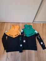 2 Mooie hoodies van Vingino maat 12-152, Ophalen of Verzenden, Zo goed als nieuw, Meisje, Trui of Vest