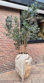 Landelijke kruik, kleipot India, oude pot, grote kruik, Ophalen, Nieuw