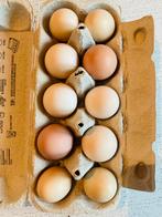 Heerlijke eieren van kippen met fantastisch leven  (€ 2,20), Diversen, Ophalen