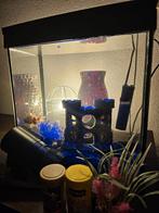 Compleet aquarium van 30l, inclusief goudvis en accessoires, Dieren en Toebehoren, Ophalen, Zo goed als nieuw, Gevuld zoetwateraquarium