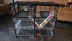 Hamsterkooi Ferplast Multipla Hamster Crystal, Dieren en Toebehoren, Kooi, Minder dan 75 cm, Zo goed als nieuw, Hamster