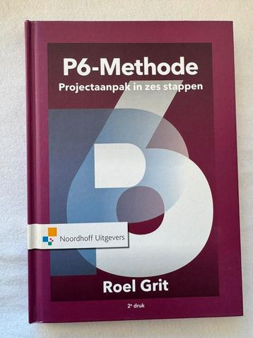 Roel Grit - Projectaanpak in zes stappen beschikbaar voor biedingen