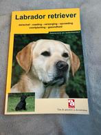 De Labrador retriever (boekje), Boeken, Dieren en Huisdieren, Honden, Ophalen of Verzenden, Zo goed als nieuw