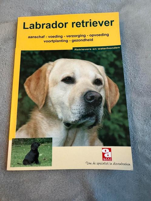 De Labrador retriever (boekje), Boeken, Dieren en Huisdieren, Zo goed als nieuw, Honden, Ophalen of Verzenden