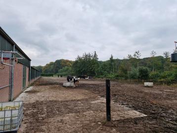 Pensionstalling paddock paradise aan het bos beschikbaar voor biedingen