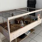 Ferplast konijnen/caviakooi, Dieren en Toebehoren, Knaagdieren en Konijnen | Hokken en Kooien, Kooi, Cavia, Ophalen, Minder dan 60 cm
