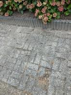 Gratis 6 palissanders, border, tuin, stootband, Ophalen of Verzenden, Gebruikt, Minder dan 100 cm