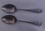Vintage stainless nickel silver, 2 lepels - Set van 2, Antiek en Kunst, Ophalen of Verzenden