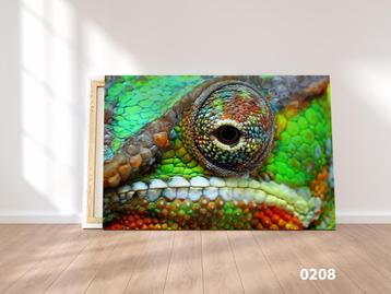 Canvas Cameleon beschikbaar voor biedingen