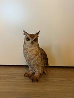 Beeld uil, Verzamelen, Beelden en Beeldjes, Ophalen, Zo goed als nieuw, Dier