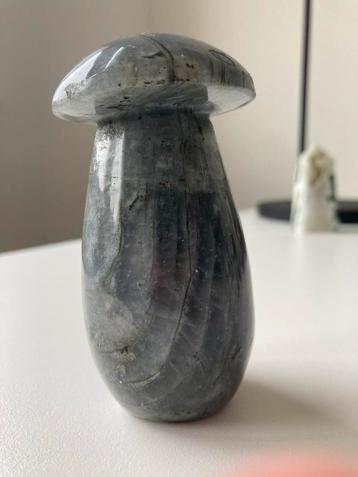 Labradoriet Paddestoel beschikbaar voor biedingen