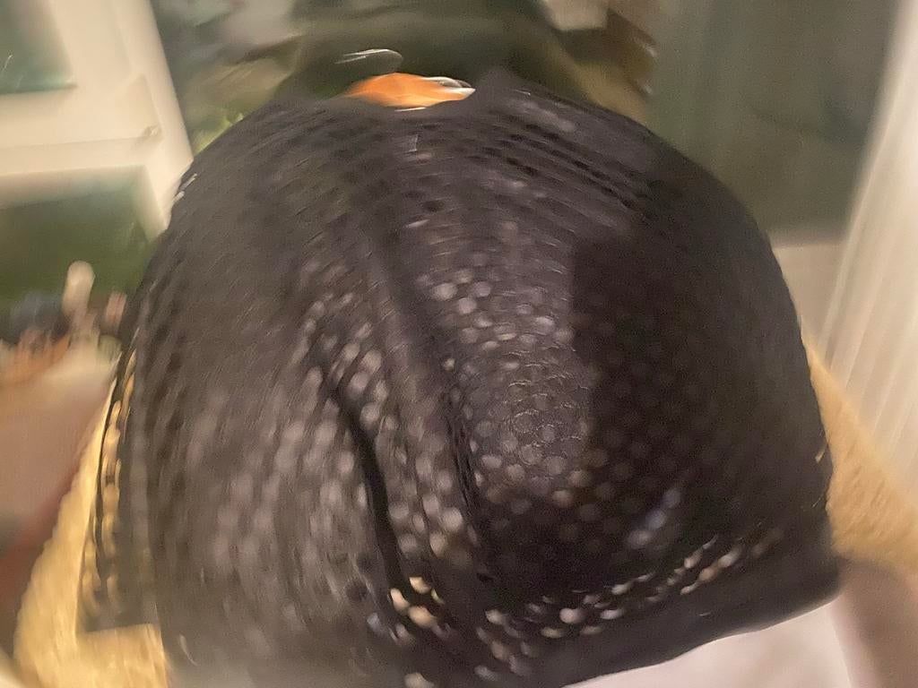 Zwarte cirkel rok - Maat S, Kleding | Dames, Rokken, Ophalen of Verzenden, Zwart