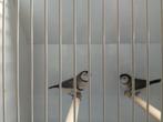 Bichenow astrildes wildkleur, Dieren en Toebehoren, Meerdere dieren, Tropenvogel, Geringd