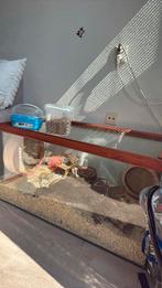 Hamster verblijf groot + toebehoren terrarium knaagdieren, Ophalen, 60 tot 90 cm, Zo goed als nieuw, 75 tot 110 cm