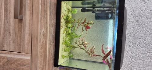 Superfish 45L Aquarium, Dieren en Toebehoren, Vissen | Aquaria en Toebehoren, Gebruikt, Leeg aquarium, Ophalen