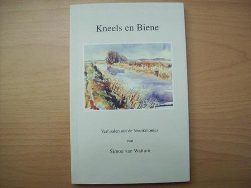 Kneels en Biene: Verhoalen uut de Veenkolonies - S. v Wattum, Boeken, Streekboeken en Streekromans, Zo goed als nieuw, Groningen