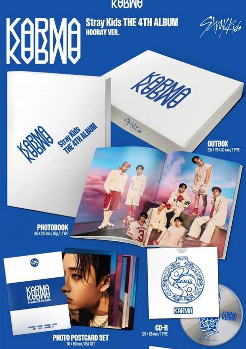 Nieuwe Stray Kids album @Variaworld KPOP DAG ZWOLLE vrijdag, Cd's en Dvd's, Cd's | Pop, Zo goed als nieuw, 2000 tot heden, Ophalen