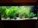 Juwel rio 180, Ophalen of Verzenden, Zo goed als nieuw, Leeg aquarium