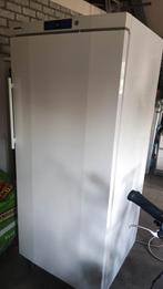 Liebherr profiline vriezer- defect, Witgoed en Apparatuur, Vriezers en Diepvrieskisten, Ophalen, Gebruikt, Vrijstaand, 160 cm of meer