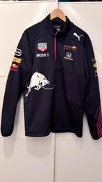 (Niew) Red bull F1 soft shell jas (Puma) maat L, Ophalen of Verzenden, Zo goed als nieuw, Blauw