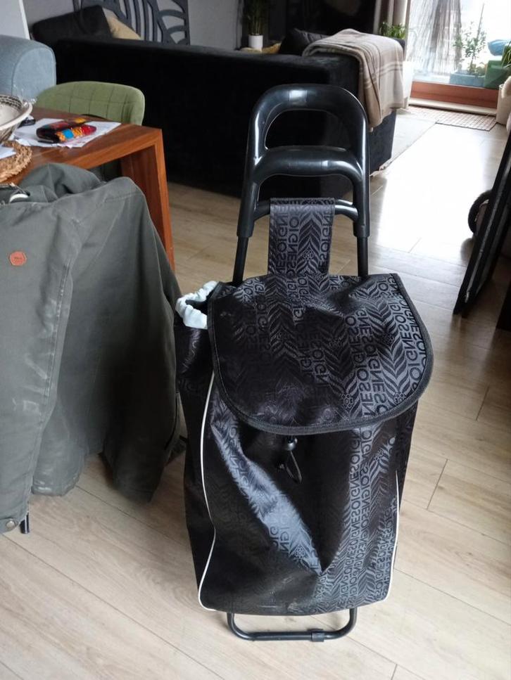 Boodschappentrolley - Handig en compact!, Huis en Inrichting, Keuken | Keukenbenodigdheden, Zo goed als nieuw, Ophalen of Verzenden