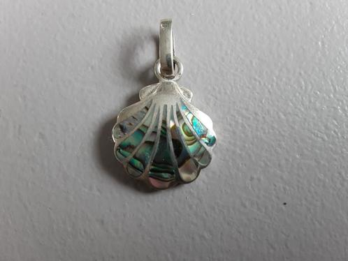 Zilveren abalone hanger, Sieraden, Tassen en Uiterlijk, Kettinghangers, Zo goed als nieuw, Zilver, Zilver, Overige voorstellingen