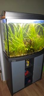 Aquarium inclusief passende onderkast., Dieren en Toebehoren, Vissen | Aquaria en Toebehoren, Ophalen, Leeg aquarium