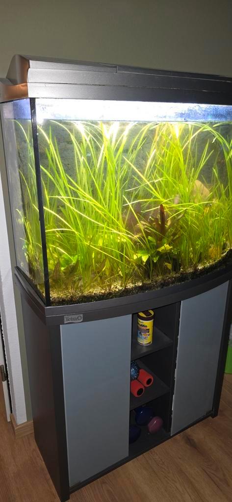Aquarium inclusief passende onderkast., Dieren en Toebehoren, Vissen | Aquaria en Toebehoren, Leeg aquarium, Ophalen