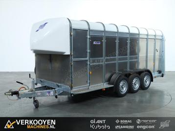 2025 Ifor Williams TA510 16x6 (497x178x182cm) Veetrailer 3-a beschikbaar voor biedingen