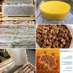 Koop direct bij de imker. Meer dan 50 jaar ervaring., Dieren en Toebehoren, Bijen