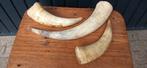 3 grote decoratieve hoorns, Ophalen of Verzenden, Zo goed als nieuw