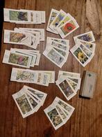 Verkade kwartetspel, Verzamelen, Ophalen of Verzenden, Zo goed als nieuw, Kwartet(ten)