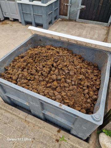 Paardenmest Gratis en schoon. beschikbaar voor biedingen