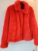 Oranje DIDI bontjasje - Maat M - Nieuwstaat, Kleding | Dames, Maat 38/40 (M), Nieuw, Ophalen of Verzenden, Oranje