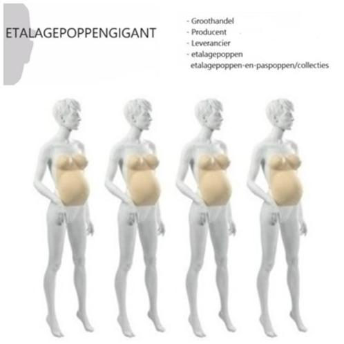 Presentatie Zwangerschapsbuik / Positiebuik Nieuw EPG, Kleding | Dames, Positiekleding, Nieuw, Overige typen, Maat 38/40 (M), Overige kleuren