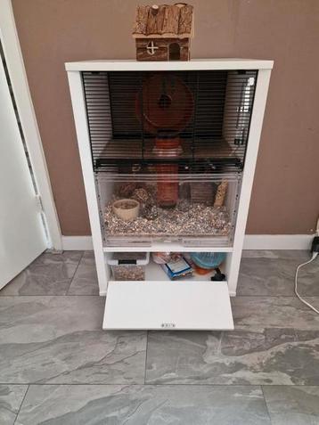 Mooie kooi hamster met handtam hamster  beschikbaar voor biedingen
